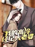 我的高冷总裁老婆免费阅读陈安